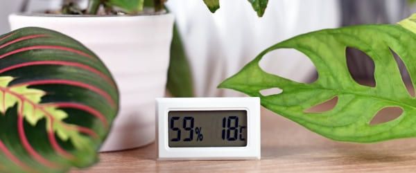 temperature hygrometrie maison